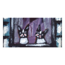 two bostons in window photo cards