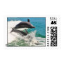 Two Bottlenose Dolphins Jumping Together Stamps