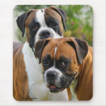 Two Boxer dogs Mousepad