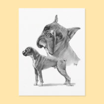 Two Boxer Dogs postcards by catanddog Two Boxer Dogs postcards