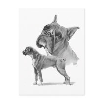 Two Boxer Dogs postcards