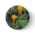 Two Bright Orange Yellow Wild Mushrooms On Moss Co buttons