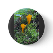 Two Bright Orange Yellow Wild Mushrooms On Moss Co buttons by lifesphere Two Bright Orange Yellow Wild Mushrooms On Moss Co buttons