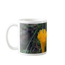 Two Bright Orange Yellow Wild Mushrooms On Moss Co mugs by lifesphere Two Bright Orange Yellow Wild Mushrooms On Moss Co mugs