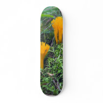 Two Bright Orange Yellow Wild Mushrooms On Moss Co skateboards by lifesphere Two Bright Orange Yellow Wild Mushrooms On Moss Co skateboards