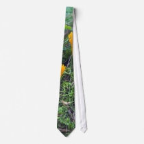 Two Bright Orange Yellow Wild Mushrooms On Moss Co ties by lifesphere Two Bright Orange Yellow Wild Mushrooms On Moss Co ties