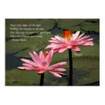 Two Bright Pink Water Lilies posters