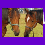Two Brown Horses In A Field, Thoughtful Horses cards