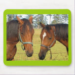 Two Brown Horses In A Field, Thoughtful Horses mousepads