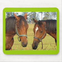 Two Brown Horses In A Field, Thoughtful Horses Mouse Pad