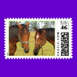 Two Brown Horses in Deep Horse Thought stamps