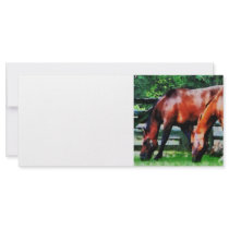 Two Brown Horses Custom Rack Card