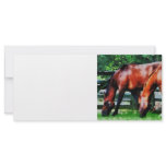 Two Brown Horses Custom Rack Card