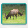 Two Bull Elk Mouse Pad