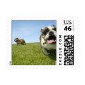 Two bulldogs at the park postage by puppydogs Two bulldogs at the park postage