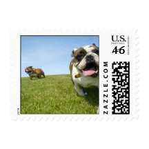 Two bulldogs at the park stamp