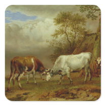 Two Bulls with Locked Horns, 1653 Square Sticker