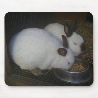 two bunnies mousepad mousepad