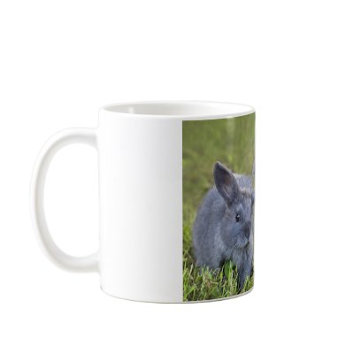 Two bunnies mug by wildlifehotspots
