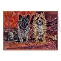 Two Cairn Terriers Greeting Card