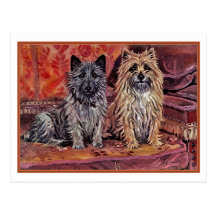 Two Cairn Terriers Post Cards