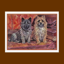 Two Cairn Terriers postcards