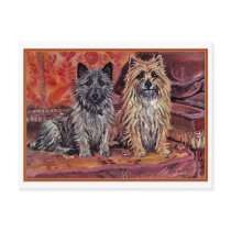 Two Cairn Terriers postcards