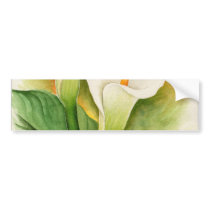Two Cala Lilies Watercolor Art - Multi bumper stickers by JUDERM Two Cala Lilies Watercolor Art - Multi bumper stickers