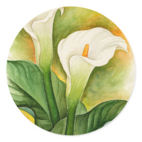 Two Cala Lilies Watercolor Art - Multi Classic Round Sticker