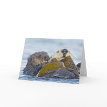 Two California Sea Otters Greeting Cards