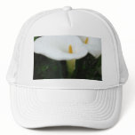 Two Calla Lilies in a Garden 1 hats