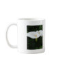 Two Calla Lilies in a Garden 1