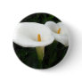 Two Calla Lilies in a Garden 2