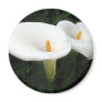 Two Calla Lilies in a Garden 2