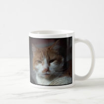 Two cats - domestic american tabby cats mugs