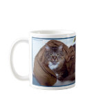 Two cats - domestic american tabby cats coffee mugs