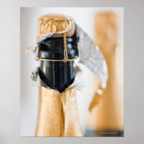 Two champagne bottles print