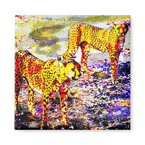 Two Cheetahs magnets