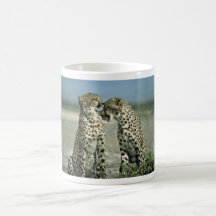 Two cheetahs sitting face to face mugs