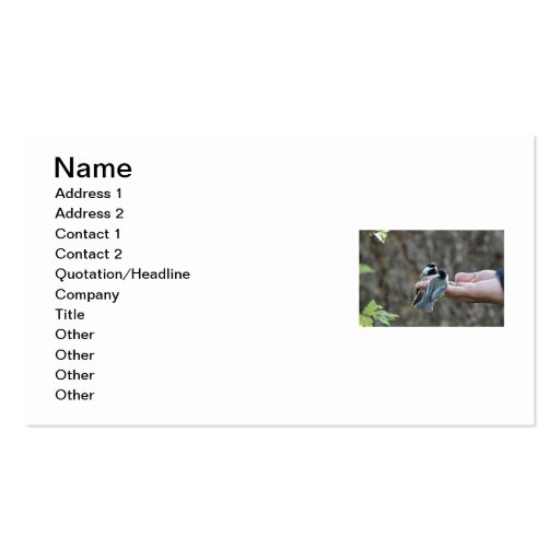 Two Chickadees on a Hand Business Cards (front side)