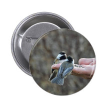 Two Chickadees on a Hand Pins