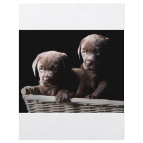 Two Chocolate Labrador Puppies Custom Flyer