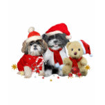 Two Christmas Shih Tzu Dogs & Teddy Bear T Shirts