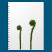 Two Coiled Sundew Leaves notebooks