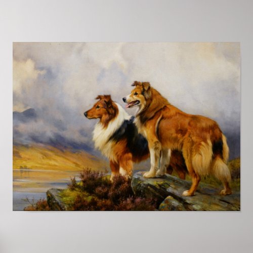 Two Collies Above A Lake print