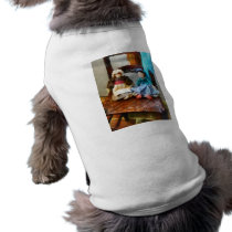 Two Colonial Rag Dolls pet clothing