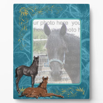 Two Colts Horse Lover's Photo Display plaques