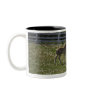 Two colts in field mug