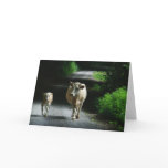 Two Cows on the Bummel • Greeting Card