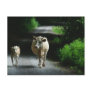 Two Cows on the Bummel Postcard